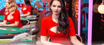 uu88link bingo trực tuyến